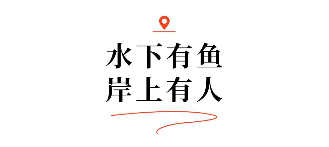 江苏省东部战区总医院唐政陈慧平陈文萃文吉秋刘欣峰宋勇任建安黄牛挂号电话长江十年行 | 有一种幸福叫“走,去江边”