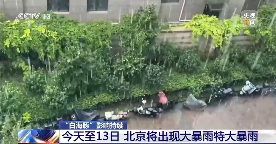民航总医院黄牛号贩子票贩子代网上预约代挂号电话台风“白海豚”北上路径多变 气象专家解读成因