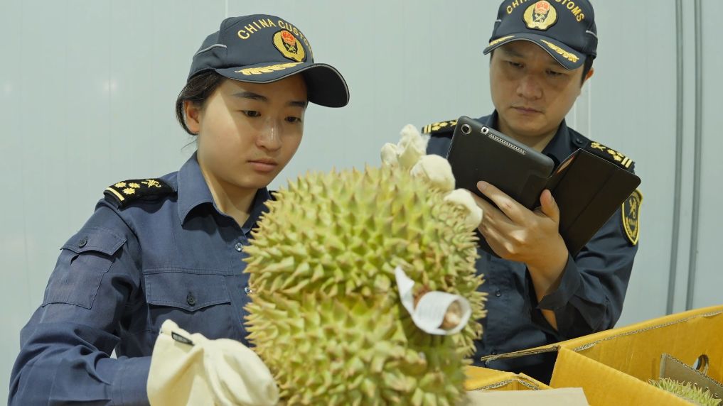 医学科学院肿瘤医院黄牛号贩子票贩子代网上预约代挂号电话中老铁路前7个月进出口货值超200亿元