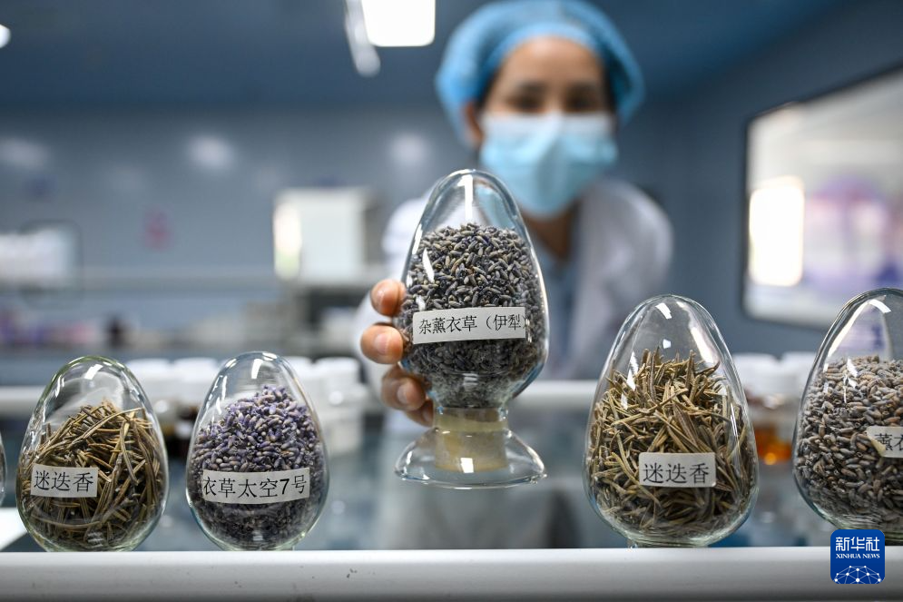 创新智造看新疆——科技赋能绘就新疆现代农牧业新画卷(图3)