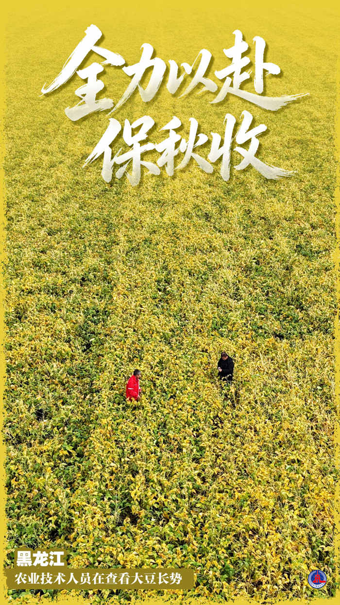 重庆医科大学附属第二医院蒋永祥医生黄牛预约代挂号电话千里沃野夺秋收