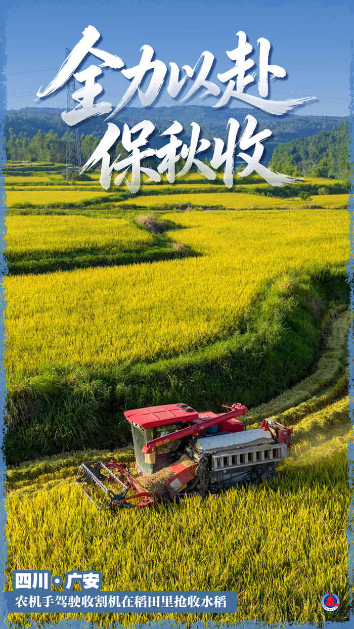 重庆医科大学附属第二医院蒋永祥医生黄牛预约代挂号电话千里沃野夺秋收