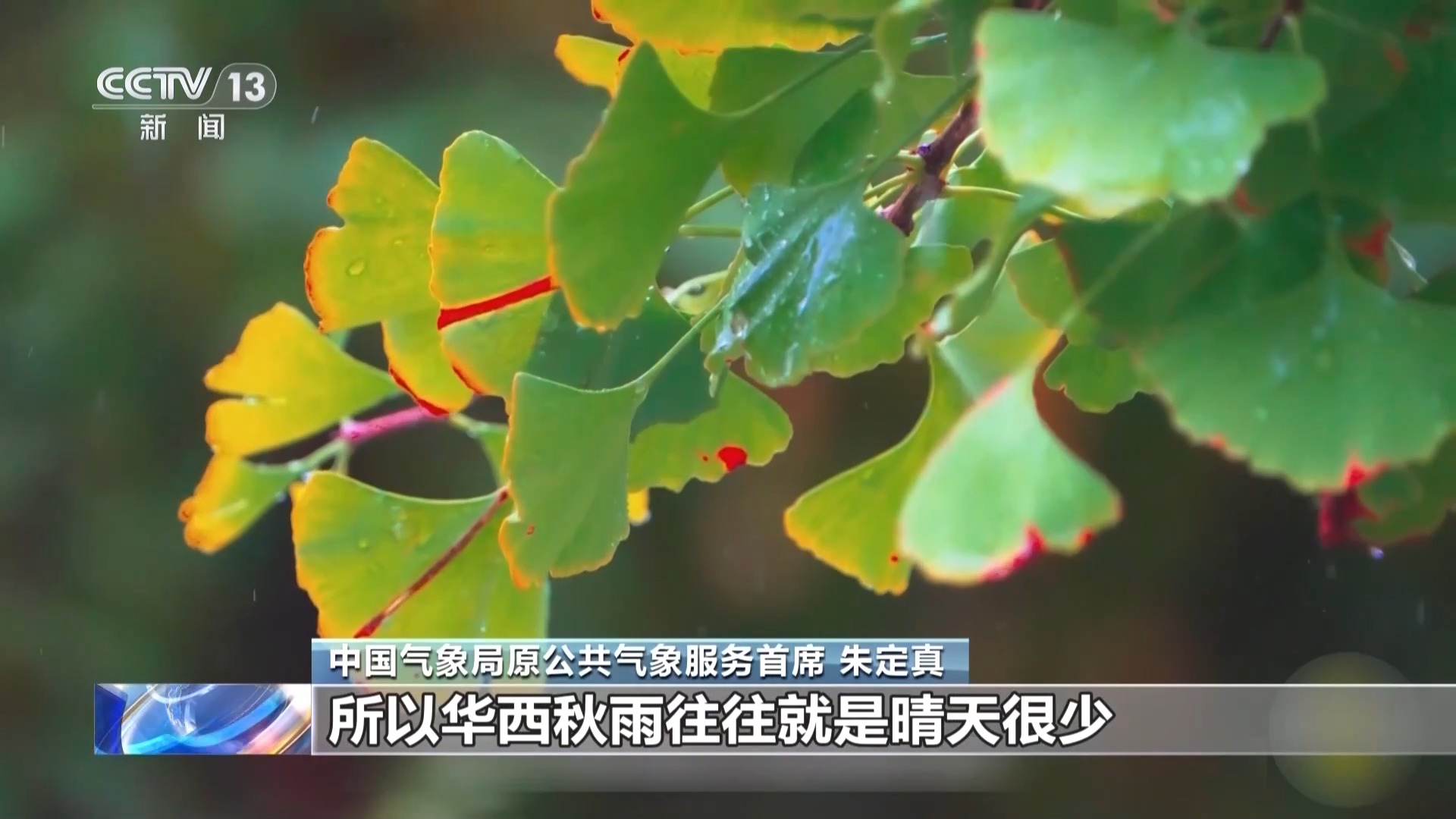 中国中医科学院西苑医院洪霞医生黄牛预约代挂号电话西南地区雨水频繁今年的华西秋雨来了吗?