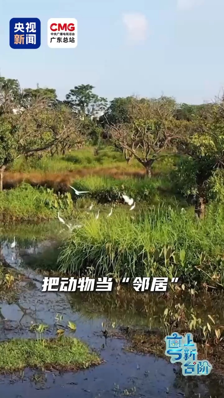 上海肝胆外科医院黄牛号贩子票贩子代网上预约代挂号电话“粤”上新台阶丨这个城市中心地标区为何晚上“黑灯瞎火”?