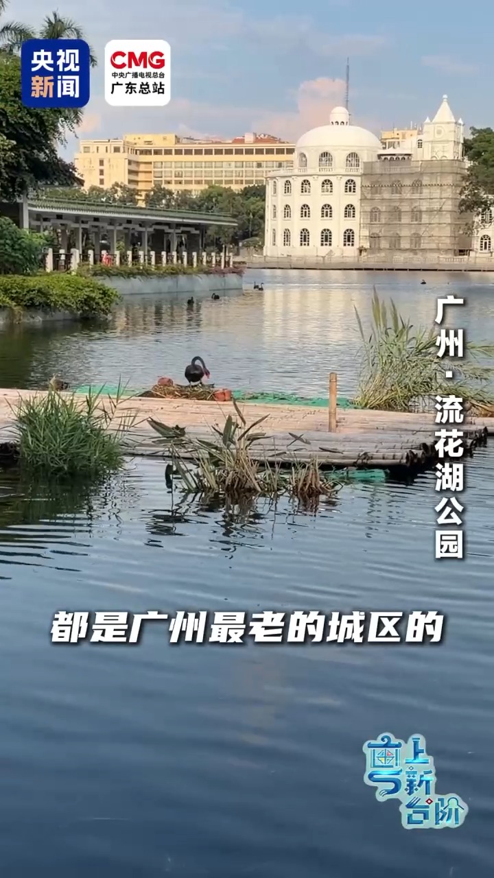 上海肝胆外科医院黄牛号贩子票贩子代网上预约代挂号电话“粤”上新台阶丨这个城市中心地标区为何晚上“黑灯瞎火”?