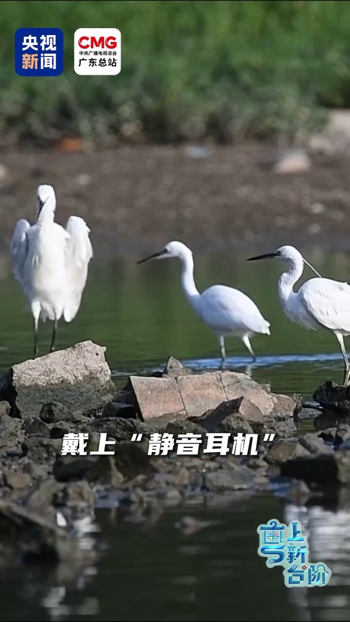 上海肝胆外科医院黄牛号贩子票贩子代网上预约代挂号电话“粤”上新台阶丨这个城市中心地标区为何晚上“黑灯瞎火”?
