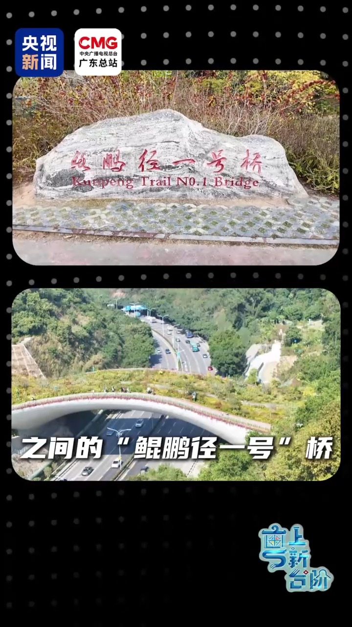上海肝胆外科医院黄牛号贩子票贩子代网上预约代挂号电话“粤”上新台阶丨这个城市中心地标区为何晚上“黑灯瞎火”?