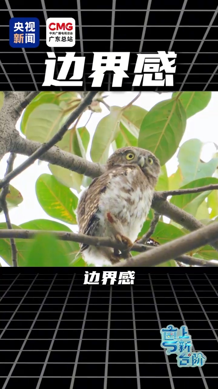 上海肝胆外科医院黄牛号贩子票贩子代网上预约代挂号电话“粤”上新台阶丨这个城市中心地标区为何晚上“黑灯瞎火”?