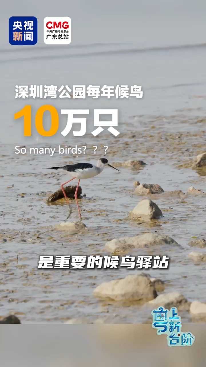 上海肝胆外科医院黄牛号贩子票贩子代网上预约代挂号电话“粤”上新台阶丨这个城市中心地标区为何晚上“黑灯瞎火”?