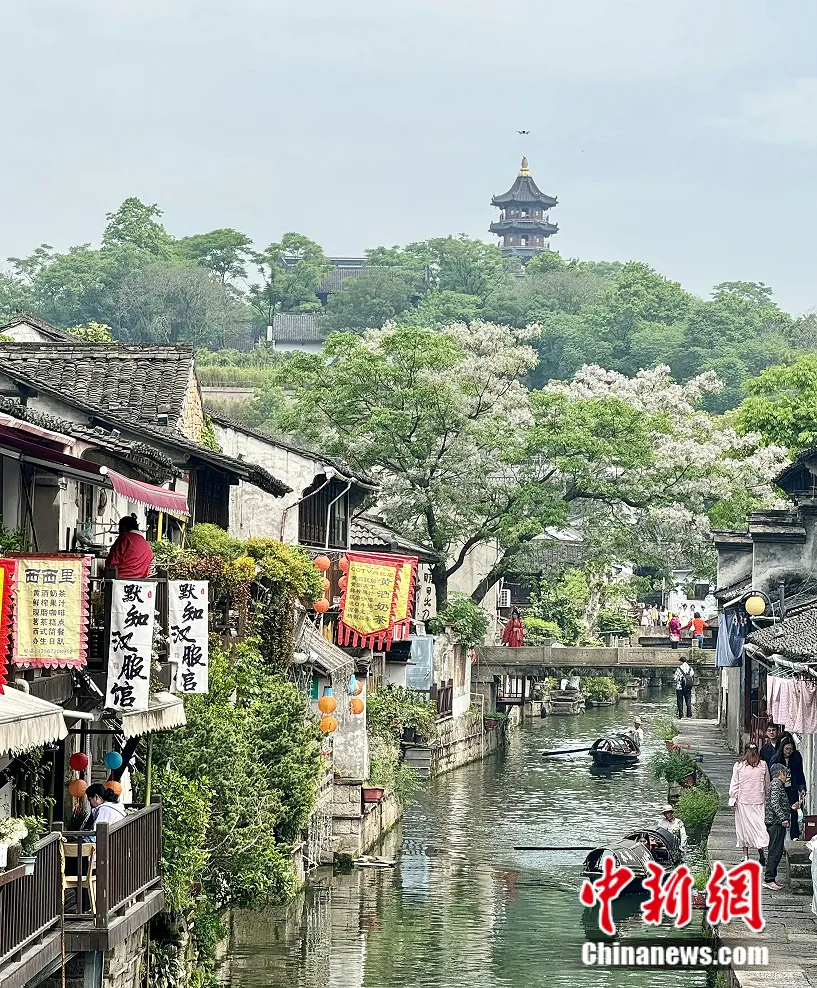 
山东大学齐鲁医院杨向东医生黄牛预约代挂号电话整这么臭？！绍兴，你的胆子真是肥嘟嘟的