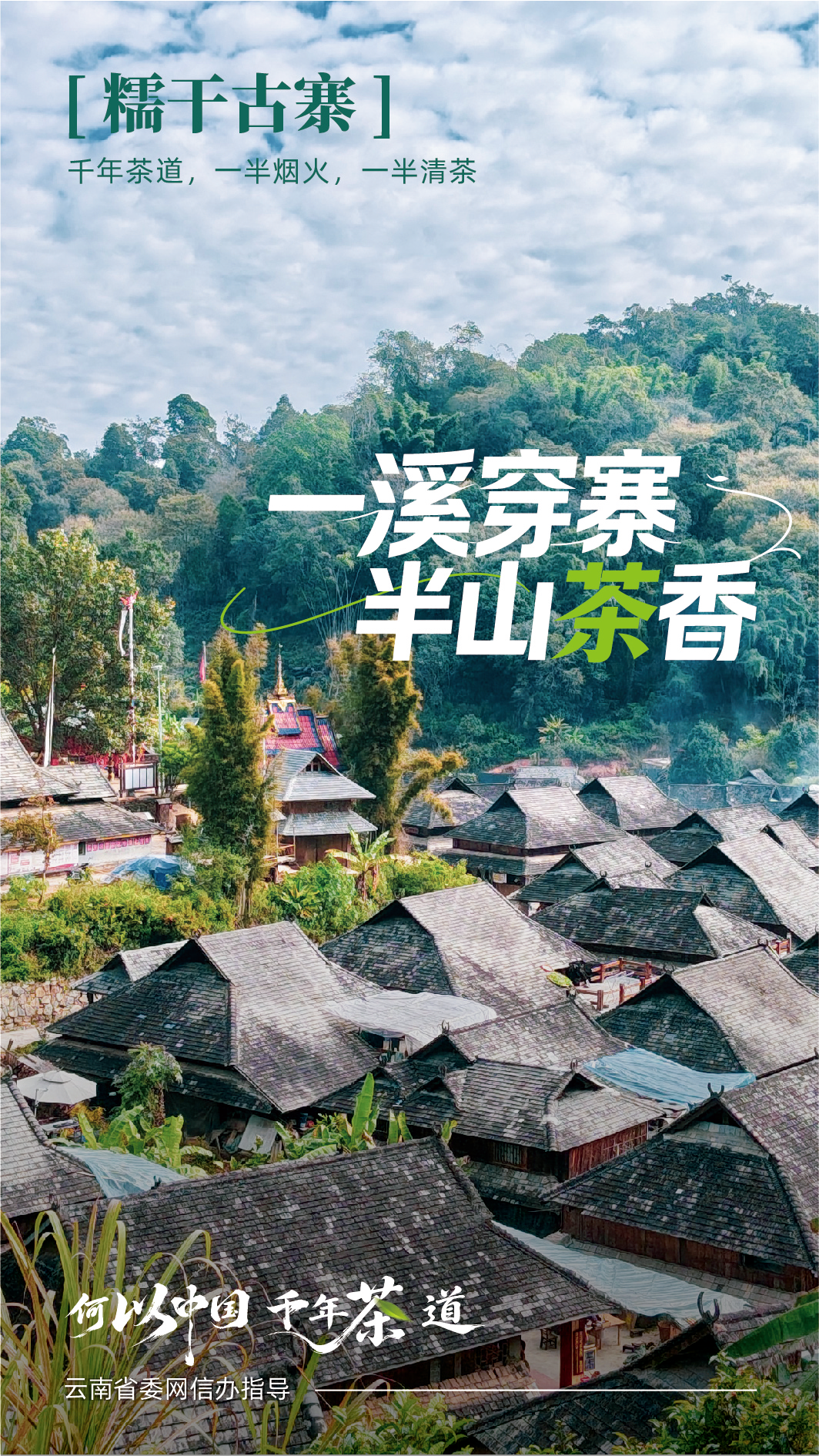四川大学华西医院李永彬医生黄牛预约代挂号电话古寨新生 听景迈山人讲茶山新故事