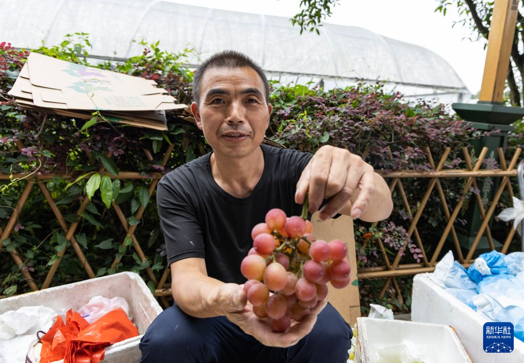 广州市番禺区中医院黄牛号贩子票贩子代网上预约代挂号电话赓续长征精神 奋进复兴征程|广西桂林:特色农产品助增收