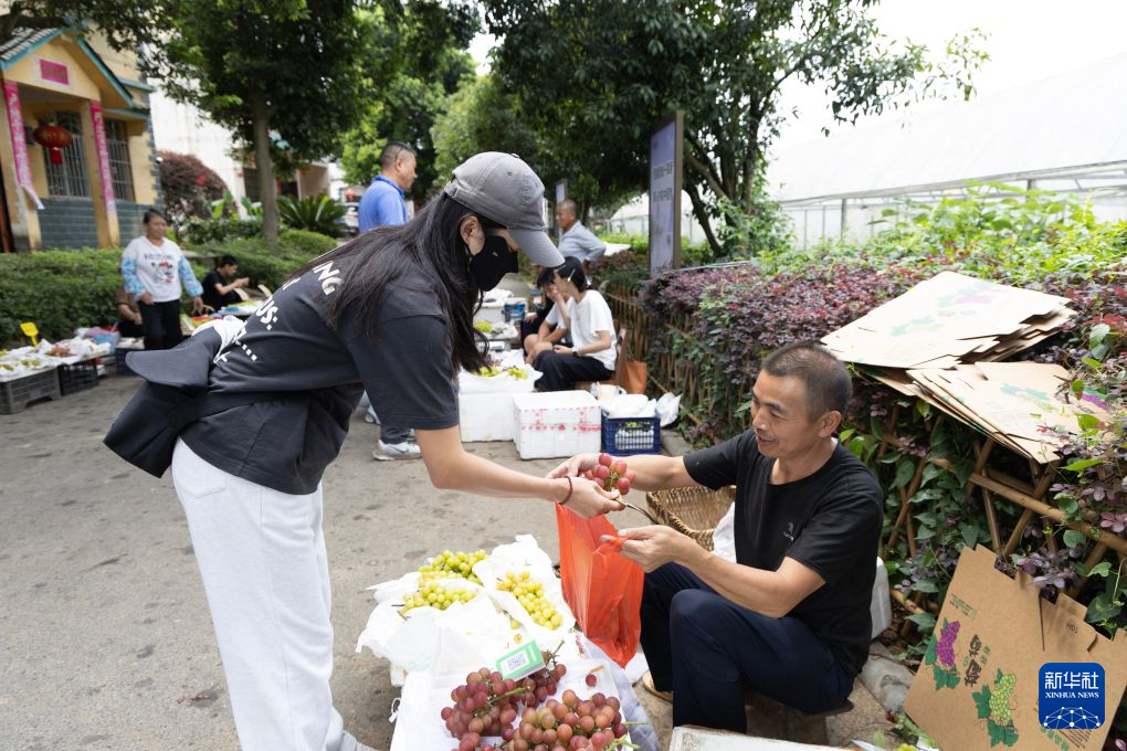广州市番禺区中医院黄牛号贩子票贩子代网上预约代挂号电话赓续长征精神 奋进复兴征程|广西桂林:特色农产品助增收