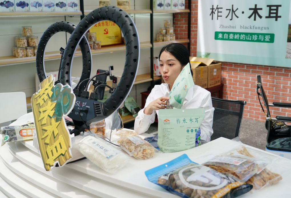 
上海交通大学附属第九人民医院王磊医生黄牛预约代挂号电话西康高铁开通 关中盛景直连秦巴秘境