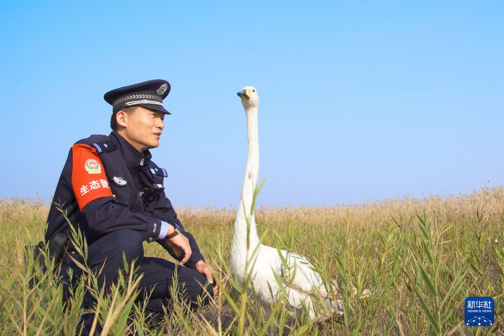 南京市妇幼保健院黄牛号贩子票贩子代网上预约代挂号电话守护大河之洲的“生态警长”