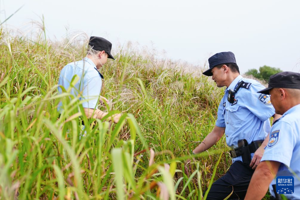 南京市妇幼保健院黄牛号贩子票贩子代网上预约代挂号电话守护大河之洲的“生态警长”