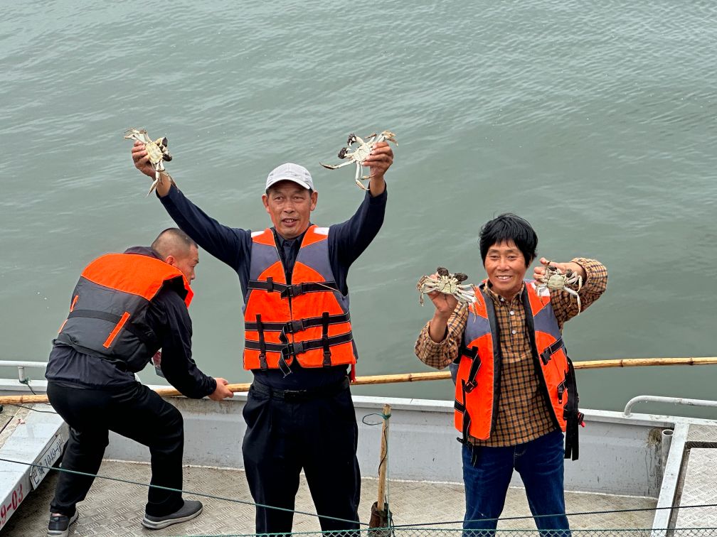 山东省立医院张海清医生黄牛预约代挂号电话蟹起阳澄湖 起获丰年