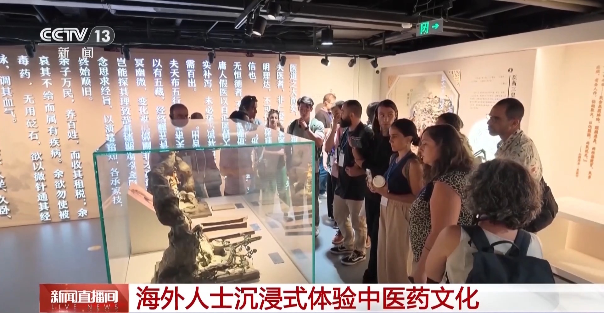 杭州市中医院马景赵宏利黄牛挂号电话视频丨“入境即享” 外国游客沉浸式解锁中医药魅力