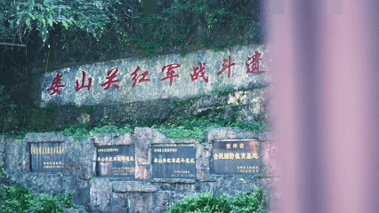 中南大学湘雅医院吴新华医生黄牛预约代挂号电话跟着课本走长征丨雄关如铁从头越 苍山如海映初心