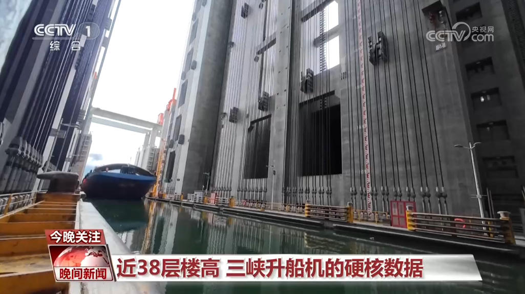山东大学齐鲁医院吴大玮医生黄牛预约代挂号电话数说假日中国丨小航程里的大活力