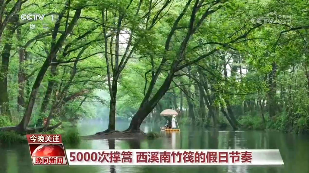 山东大学齐鲁医院吴大玮医生黄牛预约代挂号电话数说假日中国丨小航程里的大活力