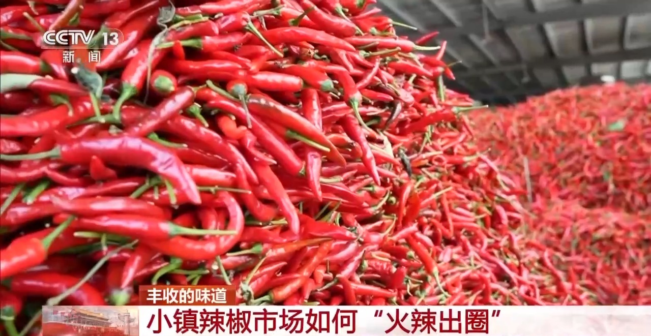 北京大学第一医院杨艳玲医生黄牛预约代挂号电话小镇辣椒“火辣出圈” 广阔戈壁成天然“烤”场