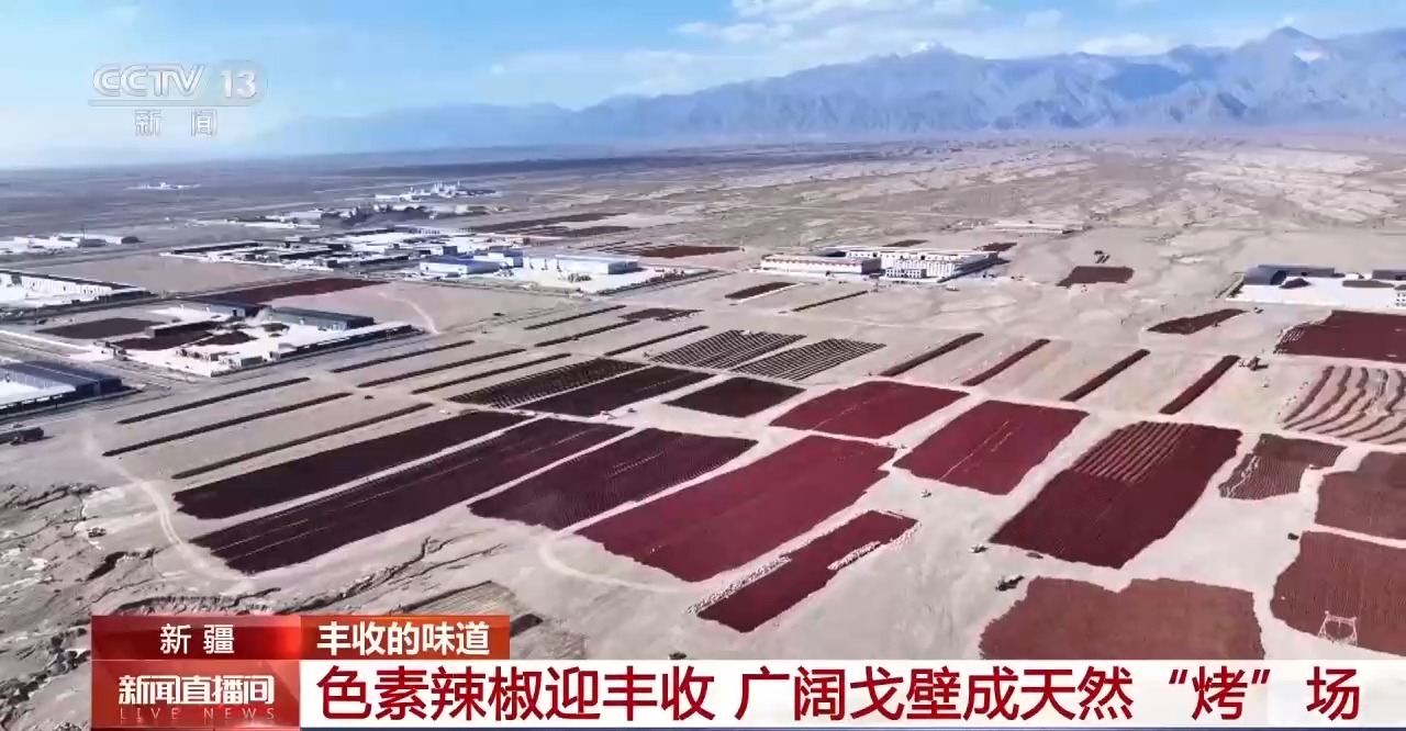 北京大学第一医院杨艳玲医生黄牛预约代挂号电话小镇辣椒“火辣出圈” 广阔戈壁成天然“烤”场