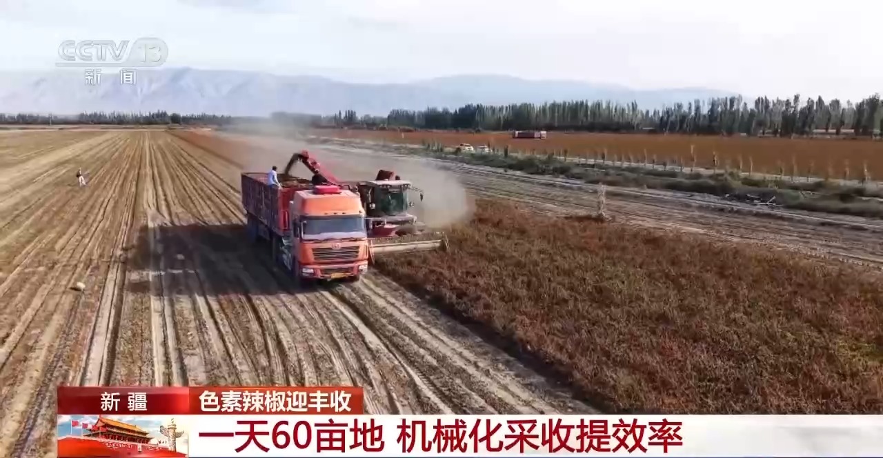 北京大学第一医院杨艳玲医生黄牛预约代挂号电话小镇辣椒“火辣出圈” 广阔戈壁成天然“烤”场