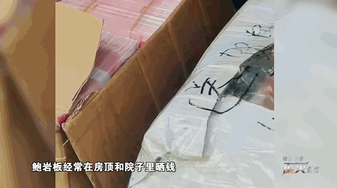 沈阳盛京医院黄牛号贩子票贩子代网上预约代挂号电话缅北电诈覆灭纪实丨第一集《利剑出鞘》