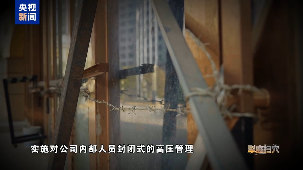 山东大学齐鲁医院方燕医生黄牛预约代挂号电话首度披露!缅北电诈跨国侦办细节:溶洞里找到白家犯罪证据