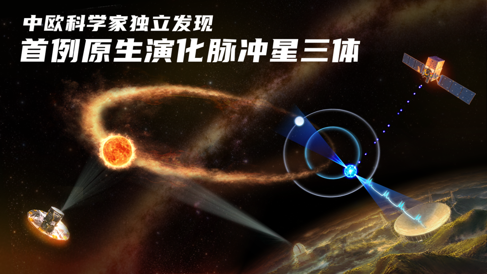 协和医院黄牛号贩子票贩子代网上预约代挂号电话中国天眼发现世界首例尚在演化的原生脉冲星三体