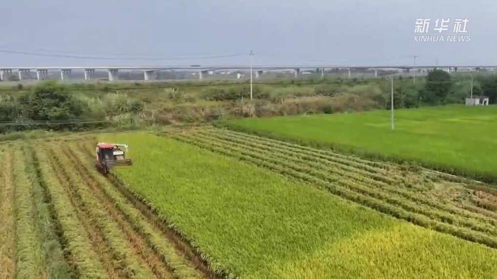 
重庆各大医院各科室戴纪刚医生黄牛预约代挂号电话丰收正当时 产业促振兴