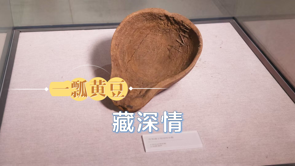 北京中医医院赵文景医生黄牛预约代挂号电话赓续长征精神 奋进复兴征程丨一瓢黄豆藏深情