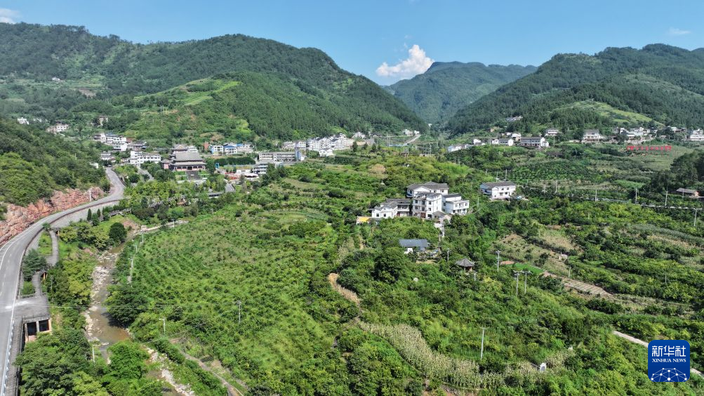 
中国中医科学院西苑医院张翠珍医生黄牛预约代挂号电话
长征路上看新颜丨重走黔北红色村落 见证老区民生蝶变