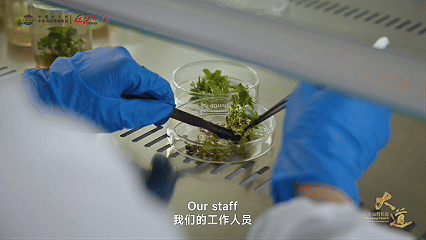 10月16日(3).gif
