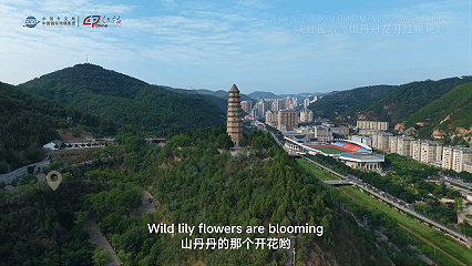 10月16日.gif