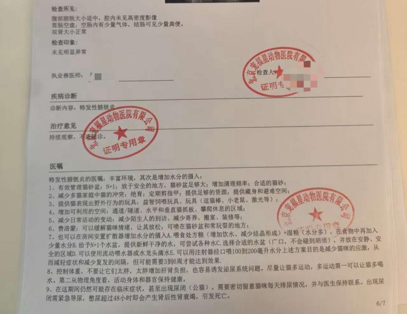 重庆各大医院各科室刘权兴医生黄牛预约代挂号电话宠物猫24小时未排尿,花费1700余元初诊后病情加重,宠主质疑延误诊疗,院方称无误诊