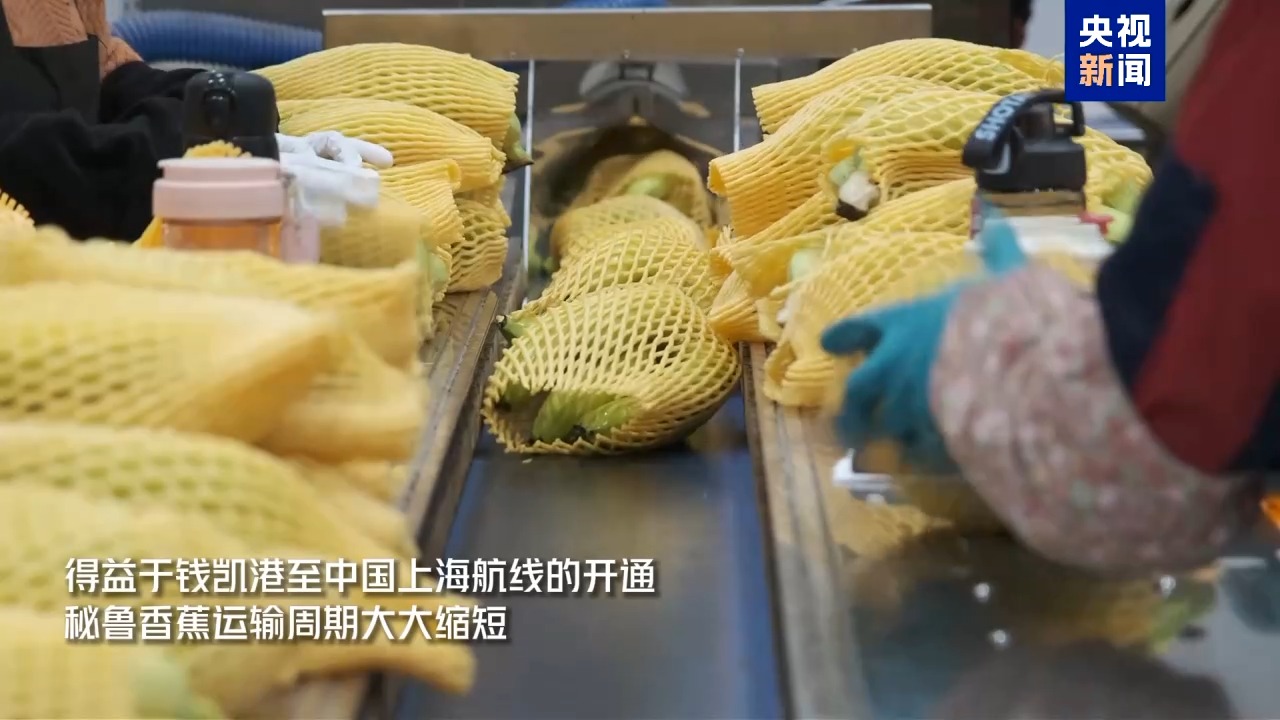 上海各大医院医生黄牛预约代挂号电话进博好物抢先看 钱凯港航线架起南美鲜果快速通道