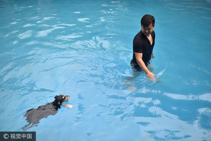 Une piscine pour chiens de 2000 m2