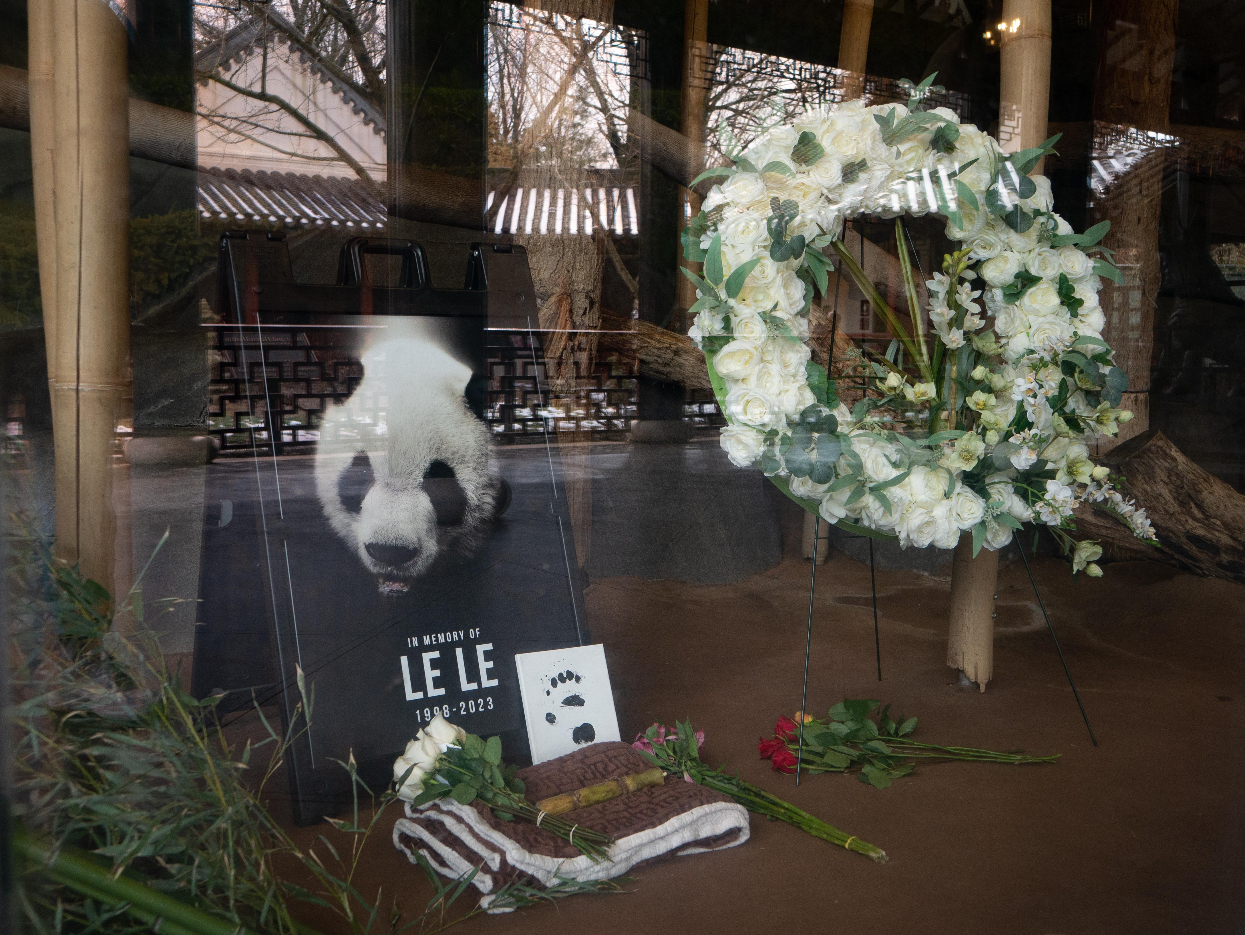 EtatsUnis mort de Le Le, panda géant du zoo de Memphis