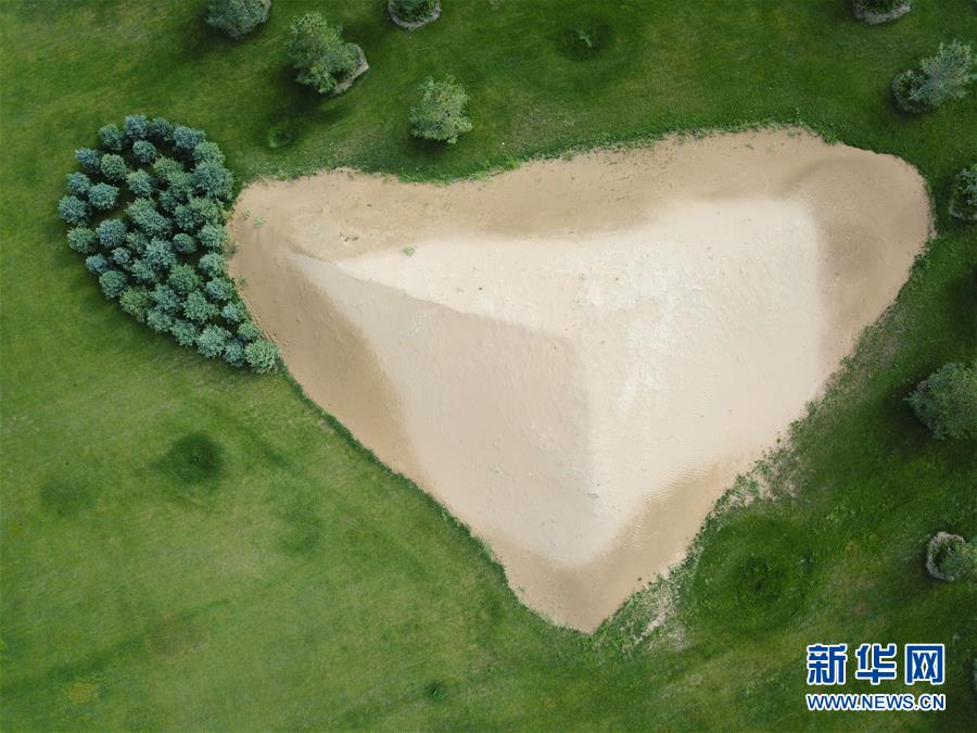 Grunes Wunder In Der Kubuqi Wuste China Org Cn