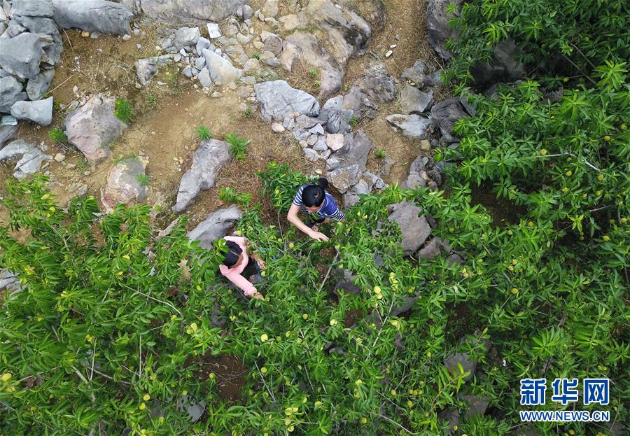 Guizhou Fördert Umstrukturierung Auf Dem Landcn 