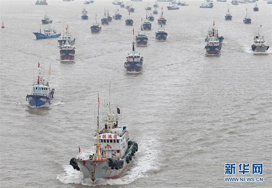 Fischschonzeit Vorbei Zahlreiche Fischerboote Segeln Im Ostchinesischen Meer China Org Cn