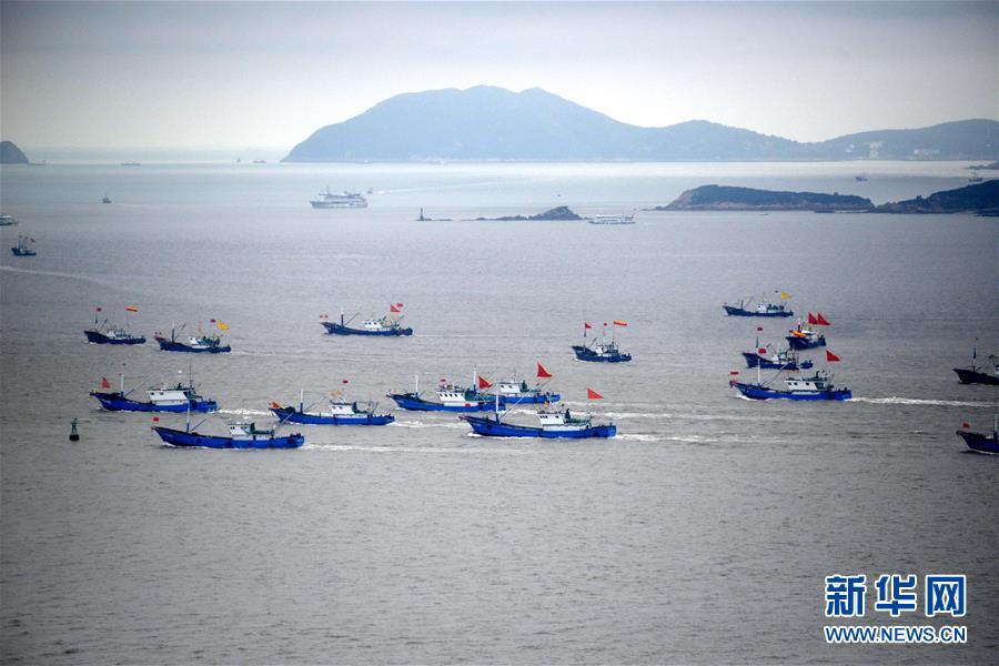 Fischschonzeit Vorbei Zahlreiche Fischerboote Segeln Im Ostchinesischen Meer China Org Cn