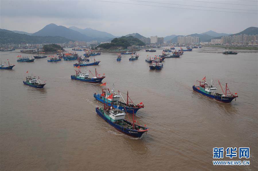 Fischschonzeit Vorbei Zahlreiche Fischerboote Segeln Im Ostchinesischen Meer China Org Cn