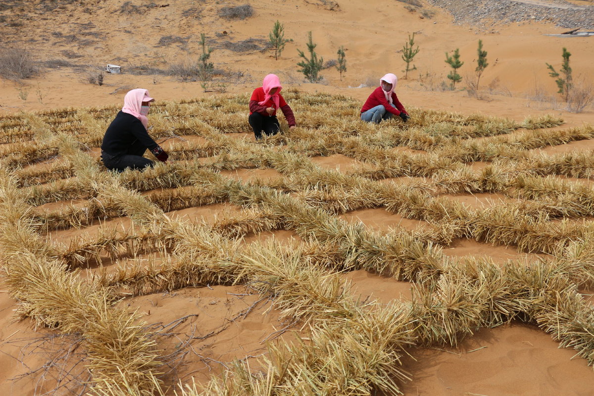 new technology improves the efficiency and effectiveness of sand control_China.org.cn