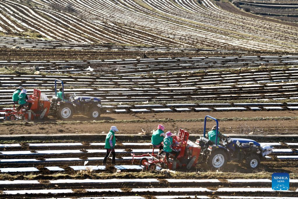 Guizhou Fördert Integraton Der Landwirtschaft In Den Tourismus Und Kultursektorcn 