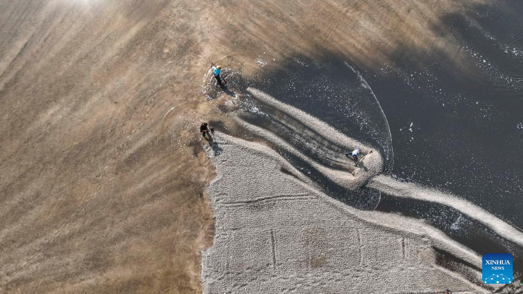 Blick Auf Eine Saline In Der Erntezeit In Tangshan China Org Cn