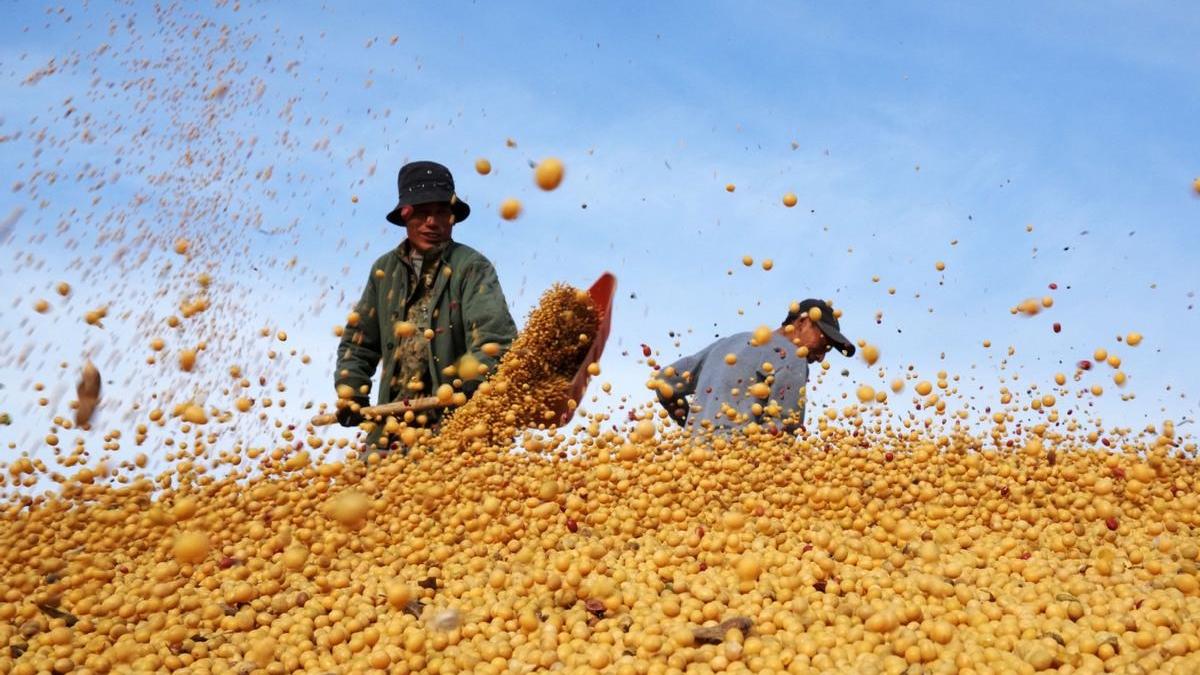 China verfügt über 700 Millionen Tonnen Getreidelagerkapazität_China.org.cn