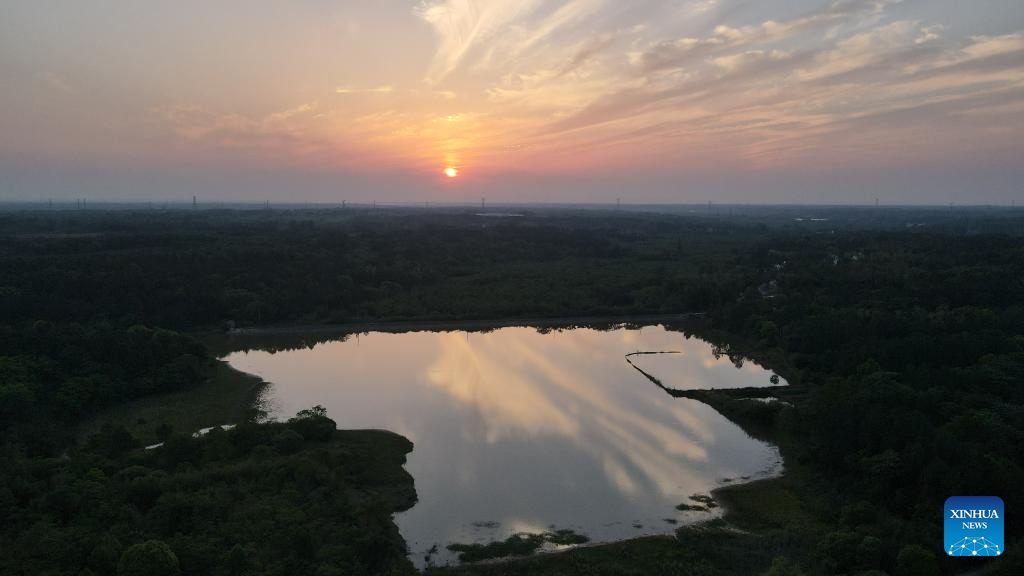 Jangtse Alligator In Der Ostchinesischen Provinz Anhui Entdeckt China